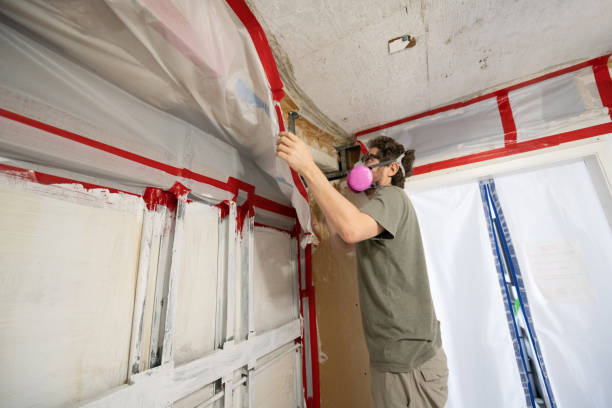 Best Attic Mold Removal  in USA